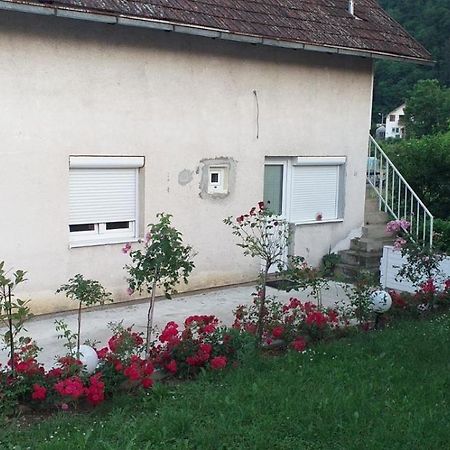 Apartmani U Guci Guča エクステリア 写真